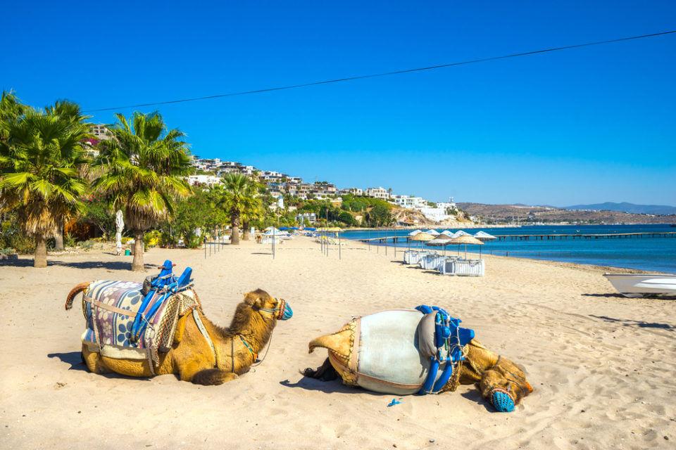 Camel Beach Bodrum Turkiyenin En Guzel Plajlari 960X640