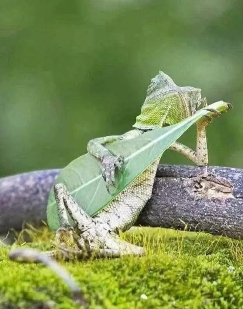 Günün en çok paylaşılan fotoğrafları (19 Mart 2025)