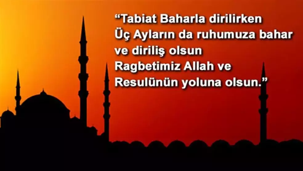 61fa79c9214ed8254003d6fd