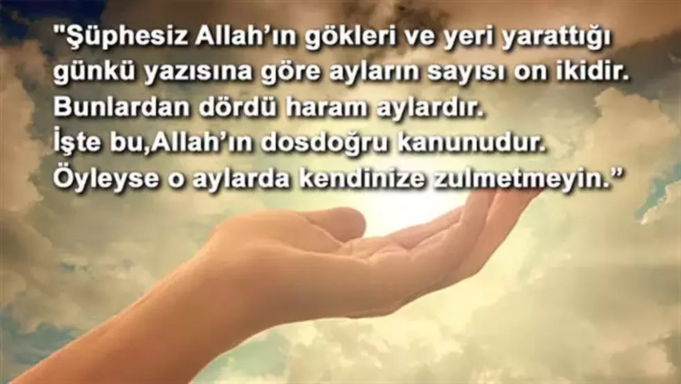 61fa79c9214ed8254003d6ff