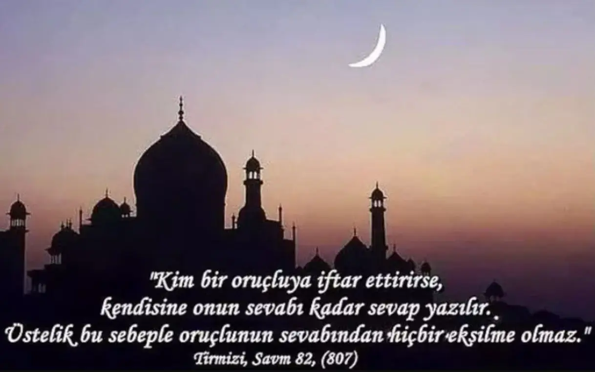 65Ed8E720A11B05B0Be3Fd81