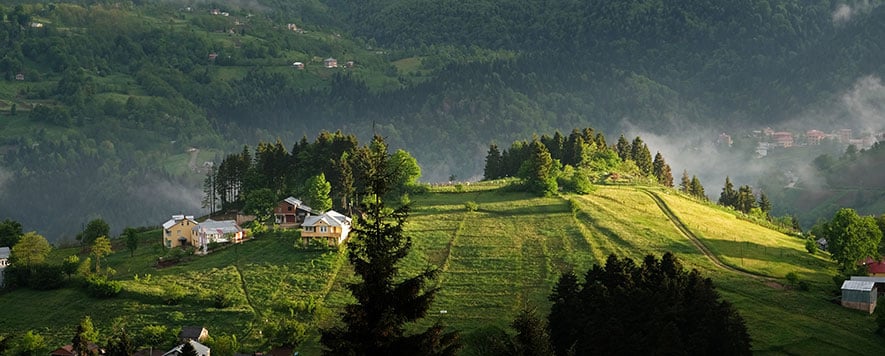 Trabzon Gezilecek Yerler Duzkoy Yaylasi