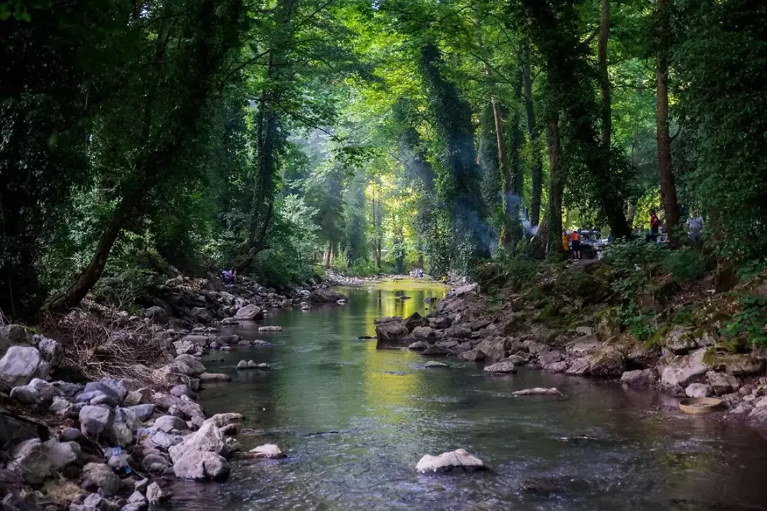 Maden Deresi Yeni Bakis