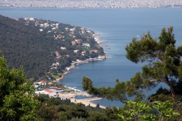 Büyükada Plajları Min