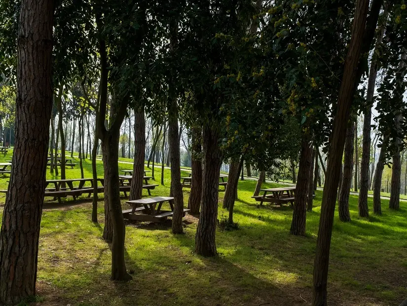 Park 46004