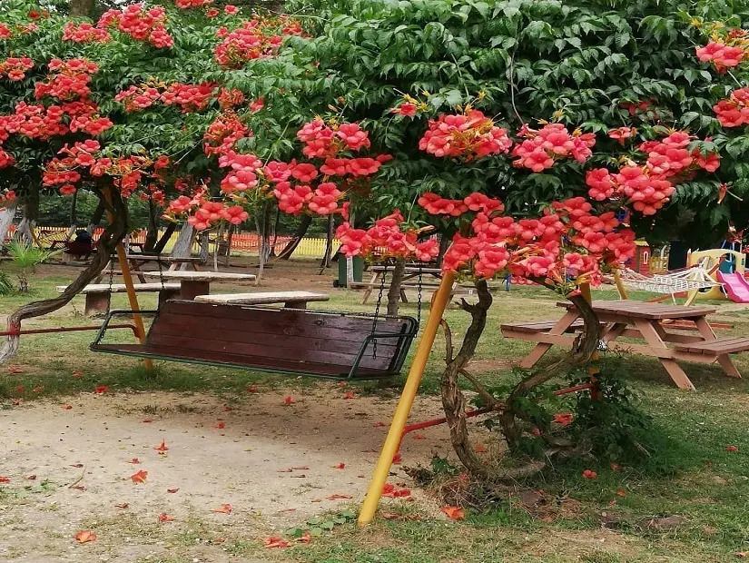 Piknik Sefasi Catalca 45996