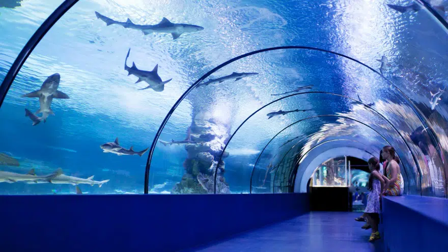 Antalya Aquarium.jpg