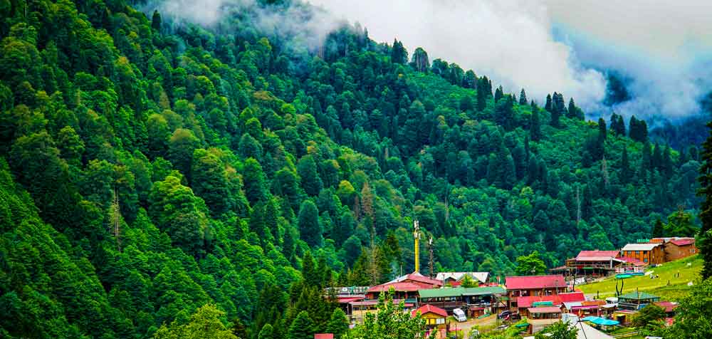 Ayder Yaylasi Rize Yaylalari