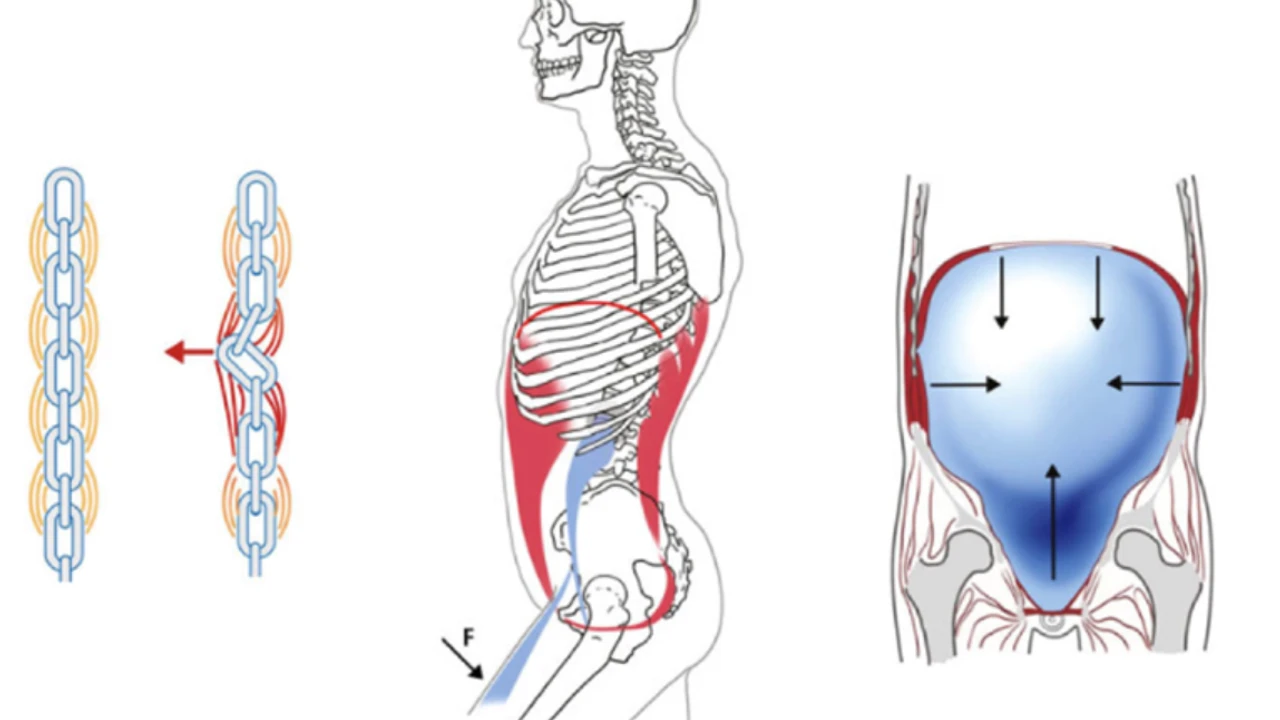 Stabilizasyon Nedir