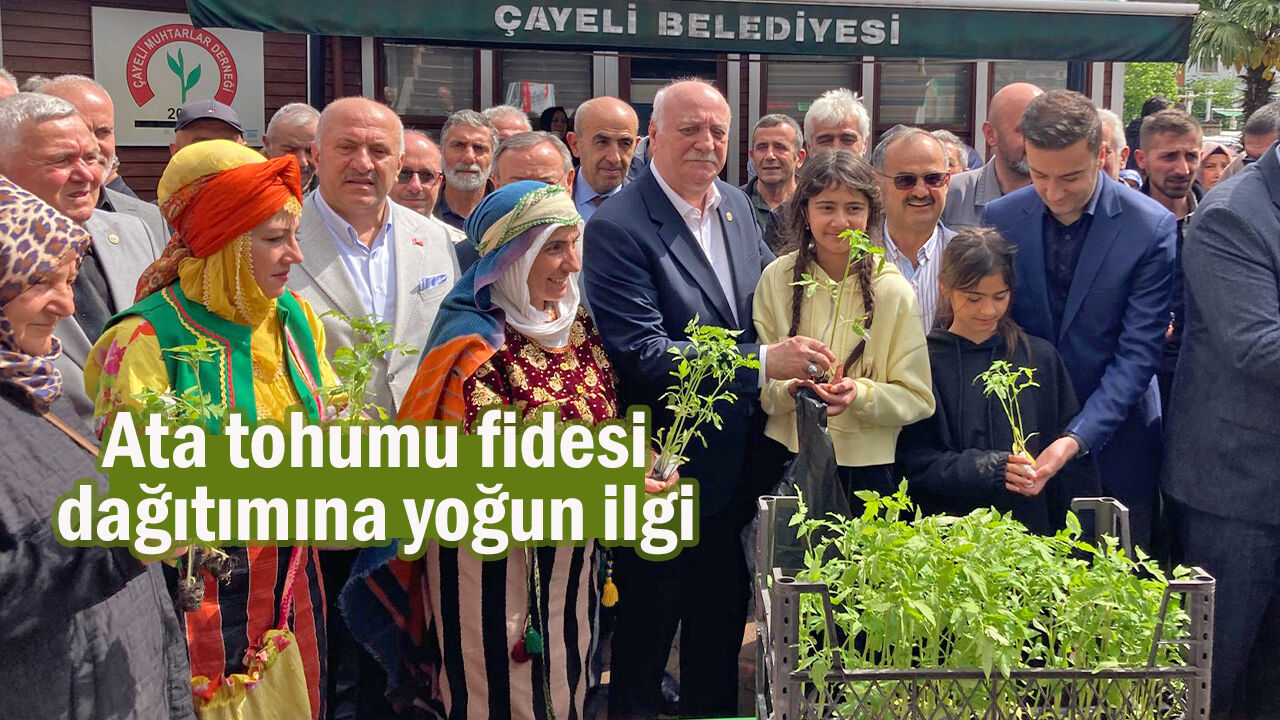 Ata Tohumu Fideleri Çayeli’nde Vatandaşlara Dağıtıldı