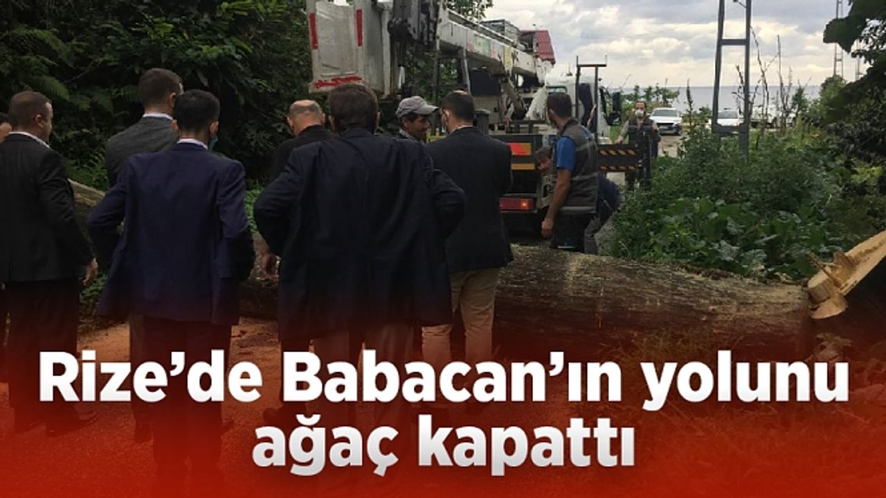 Rize’de Babacan’ın konvoyunun yolunu ağaç kapattı