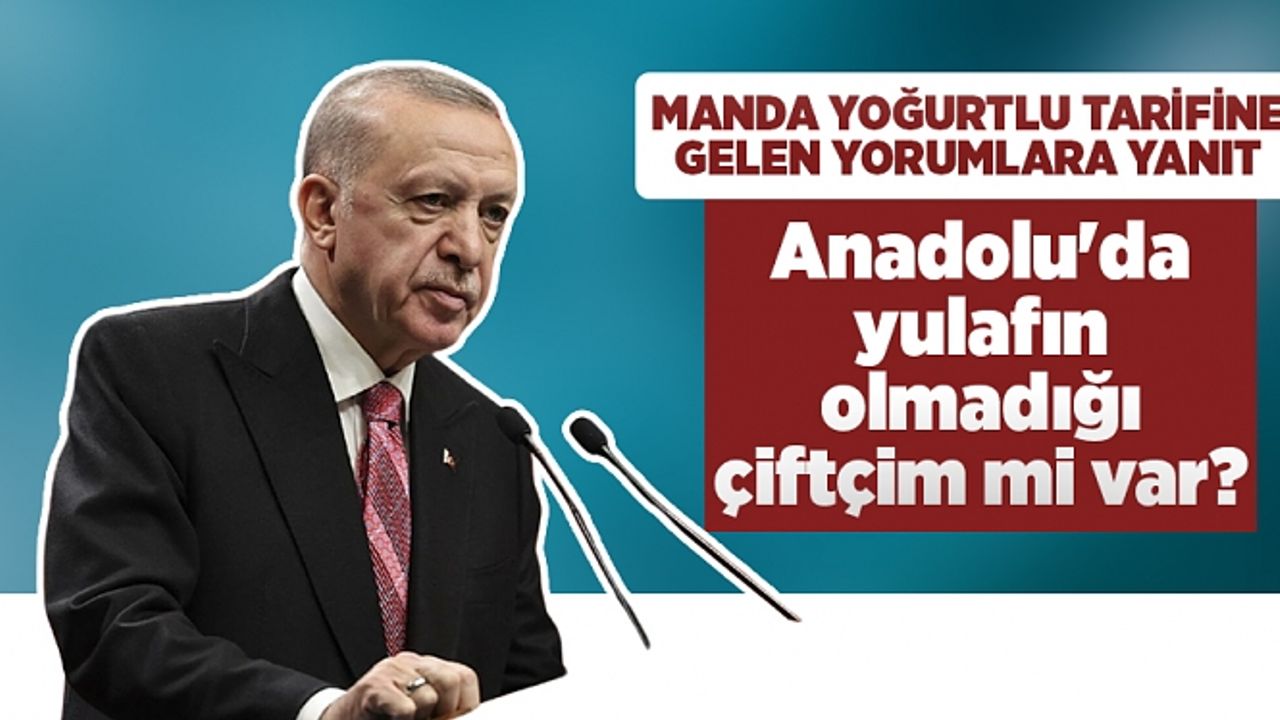 Cumhurbaşkanı Erdoğan manda yoğurtlu tarifine gelen yorumlara yanıt