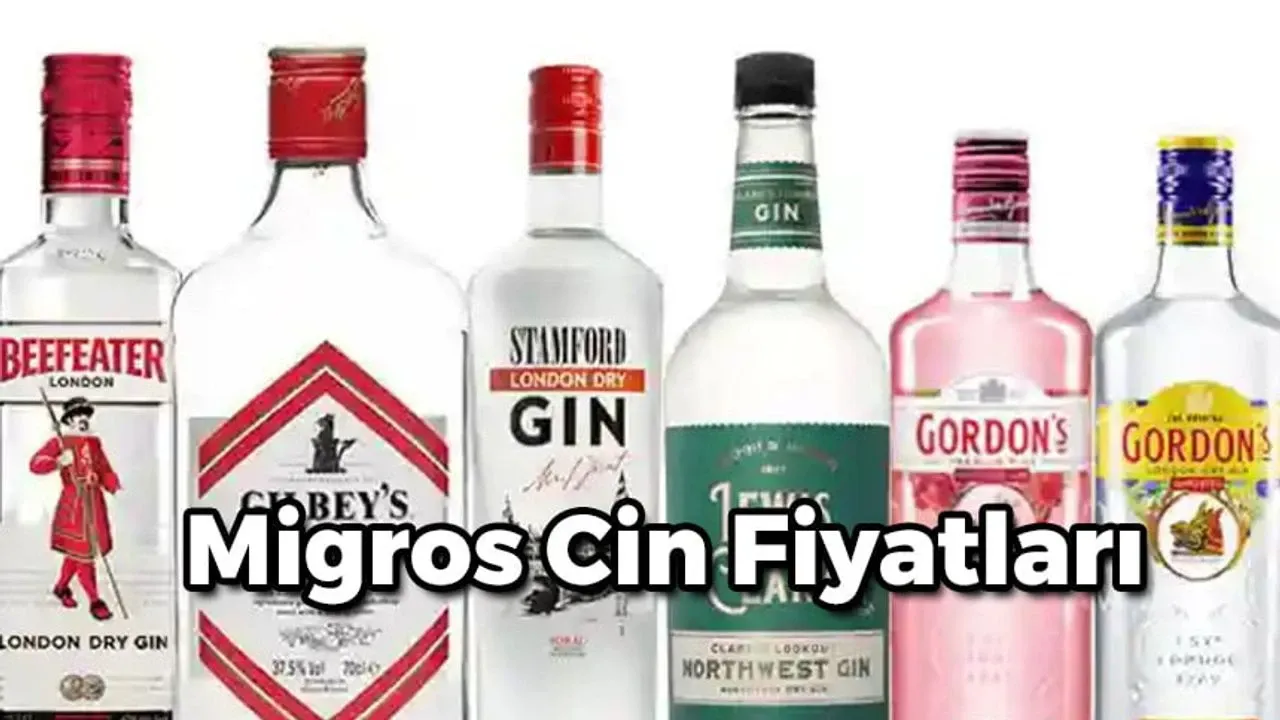 Migros Cin Fiyatları 2024: Adalin, Gilbey's, Gordon's Dry…