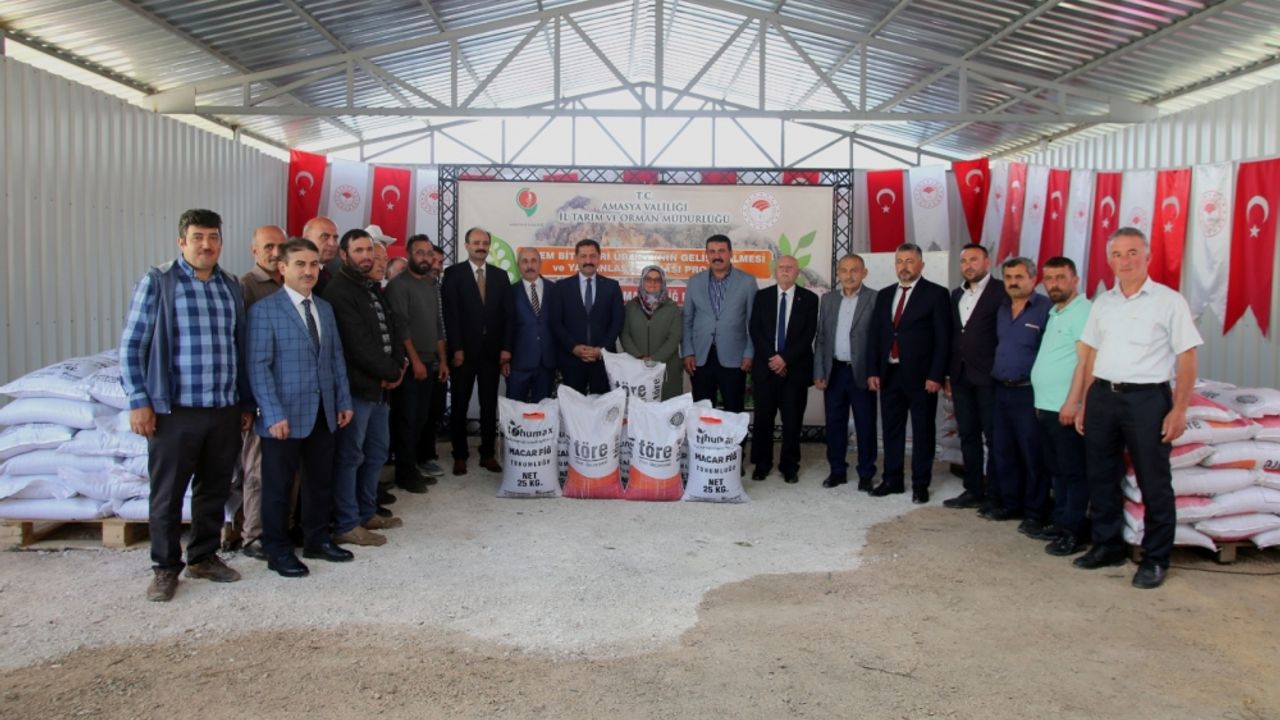 Amasya'da çiftçilere 60 ton Macar fiği ve yem bezelyesi tohumu dağıtıldı
