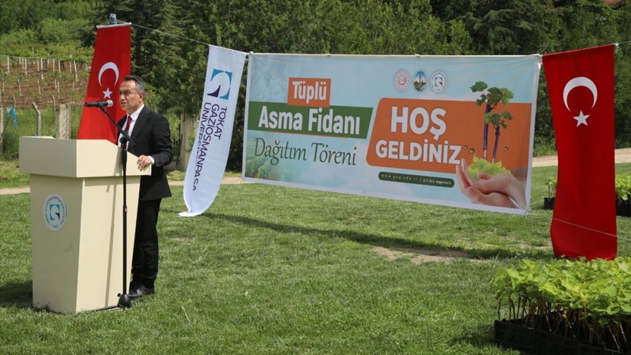 TOGÜ'de üretilen 2 bin aşılı asma fidanı üreticilere dağıtıldı