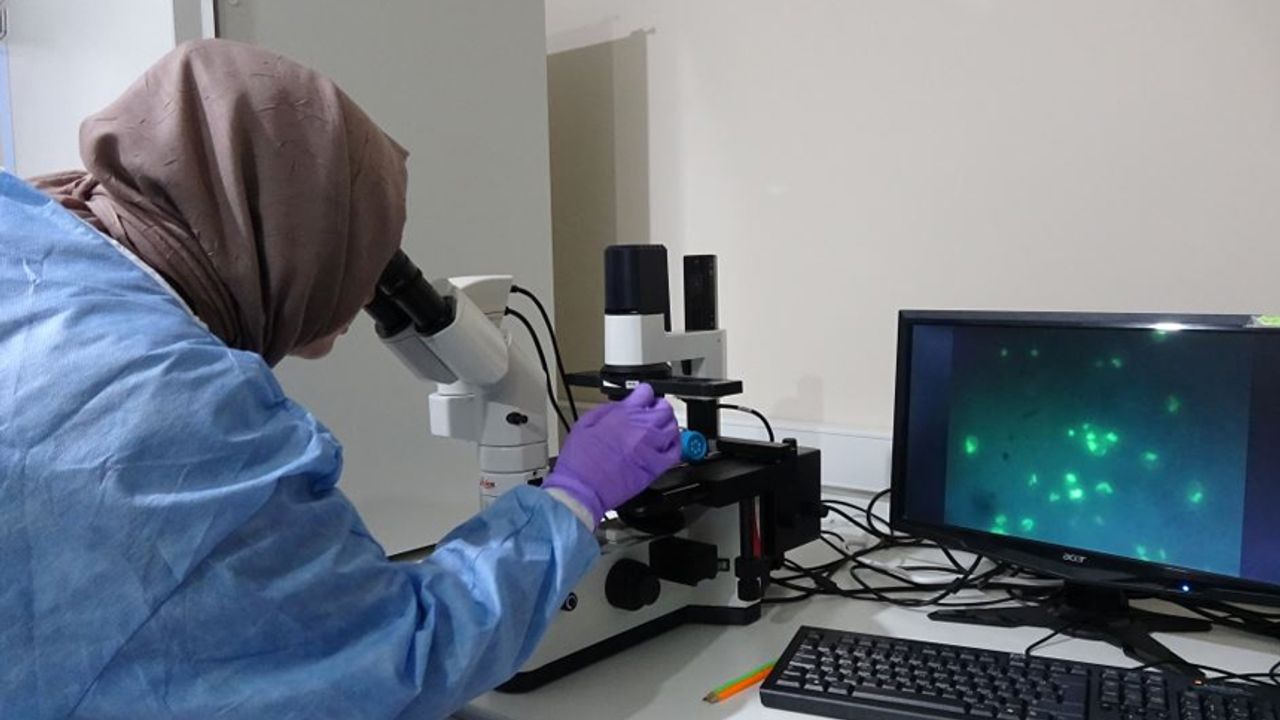 RTEÜ'de mesane kanserinin tedavi yöntemi araştırılıyor