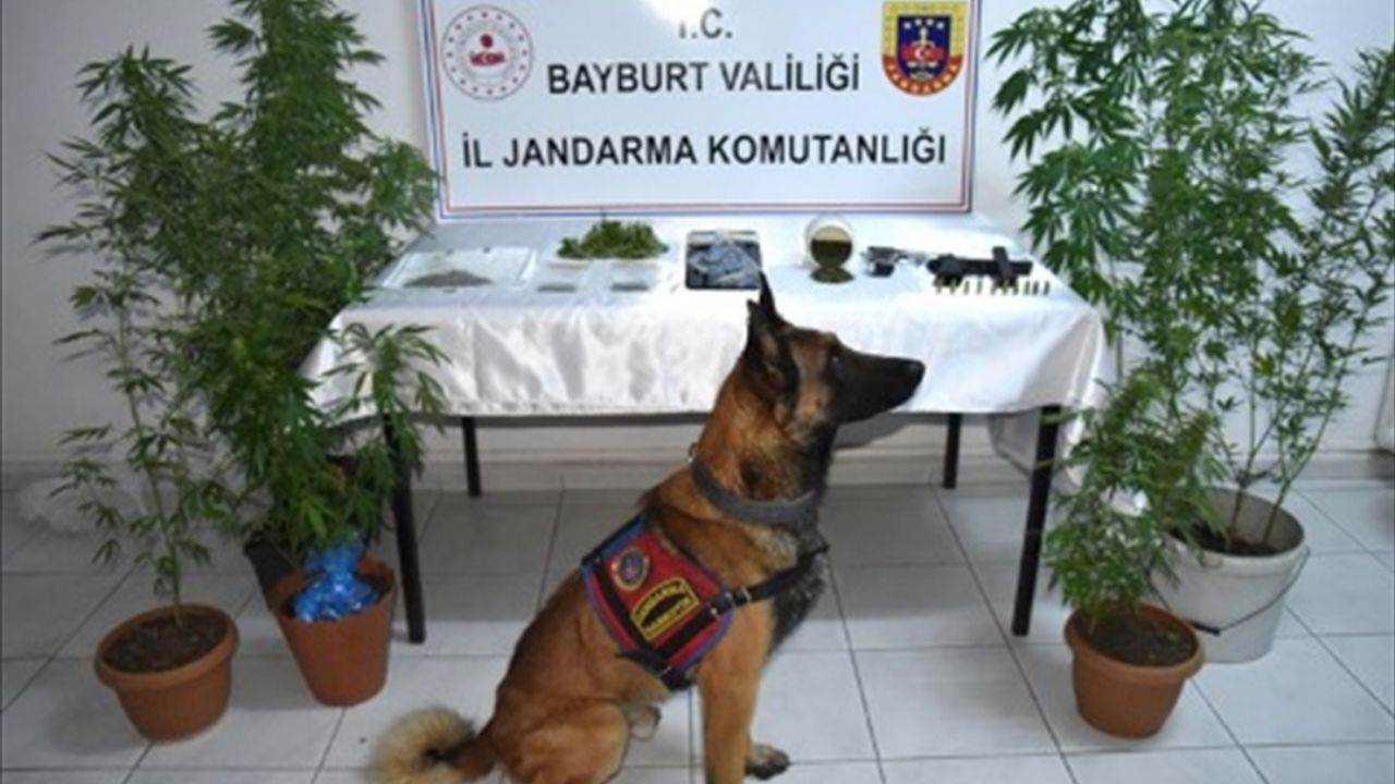 Bayburt'ta uyuşturucu operasyonunda yakalanan 2 zanlı tutuklandı