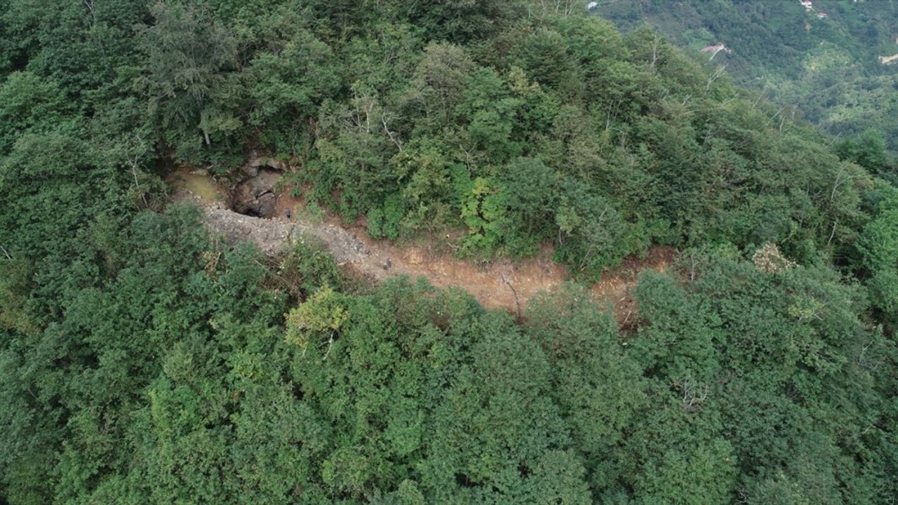 Trabzon'da define aramak için iş makinesiyle ormana yol açılmasıyla ilgili soruşturma