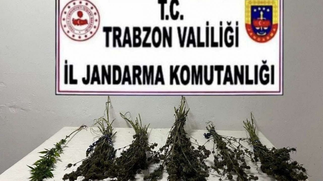 Trabzon'daki uyuşturucu operasyonunda 2 şüpheli gözaltına alındı