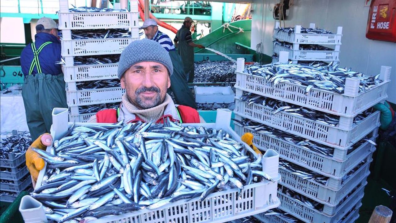 Balıkçılar Karadeniz'deki hamsi bereketini görüntüledi