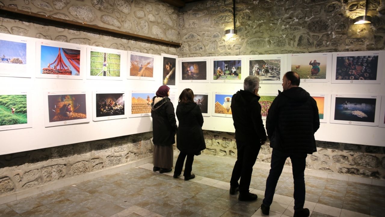Giresun'da tarım, orman ve insan temalı fotoğraf sergisi açıldı