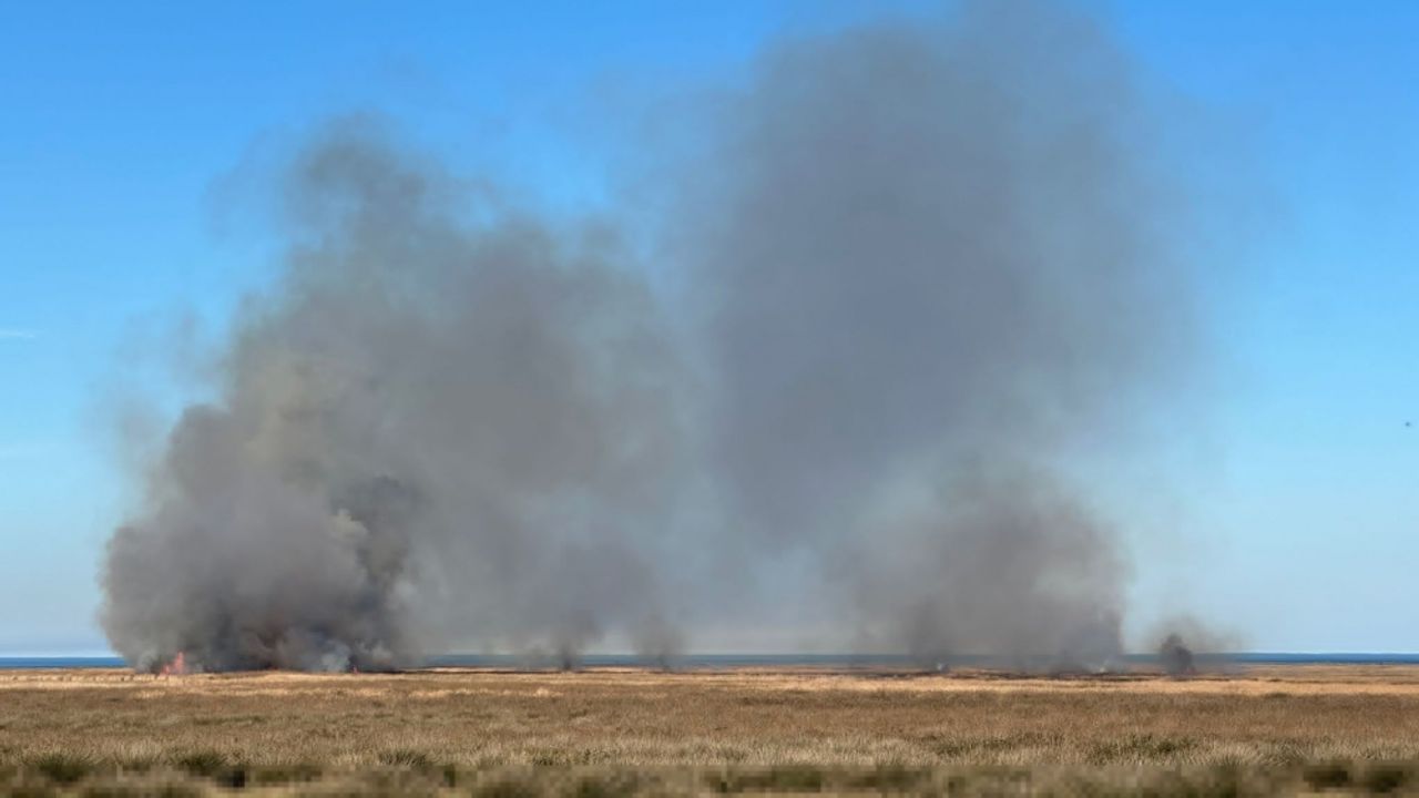 Kızılırmak Deltası Kuş Cenneti'nde sazlık alandaki yangına müdahale ediyor
