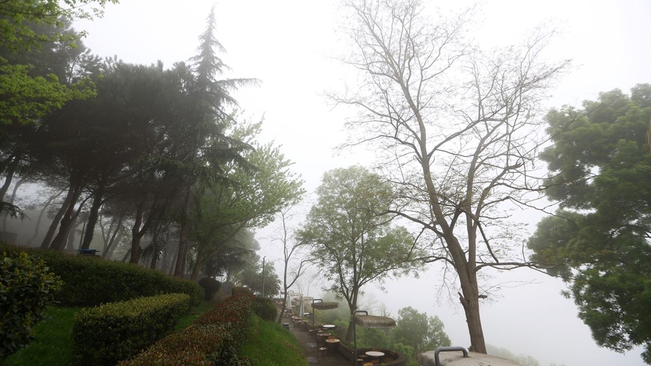 Orta ve Doğu Karadeniz'de hava ulaşımına sis engeli