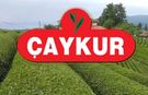 ÇAYKUR’dan 21 Mayıs Uluslararası Çay Günü Mesajı