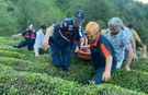 Çayeli’nde çaylık arazide mahsur kalan kadın ekiplerin müdahalesiyle kurtarıldı