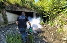 Rize Belediyesi’nden Sivrisinek ve Haşereye Karşı Yoğun Mesai