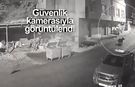 Rize'de bir kişinin anne ayı ve yavrularından kaçış anları güvenlik kamerasında