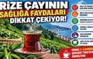 Rize Çayının Sağlığa Faydaları Dikkat Çekiyor! Günde Kaç Bardak İçilmeli?