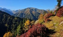 Rize'nin yaylalarında sonbahar renkleri hakim oldu