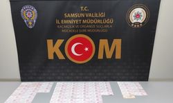 GÜNCELLEME - Samsun'da piyasaya sahte para sürmek isteyen 2 zanlıya ev hapsi verildi