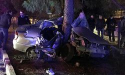 Samsun'da otomobilin ağaca çarpması sonucu 1 kişi yaralandı