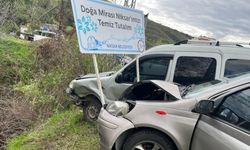 Tokat'ta hafif ticari araçla çarpışan otomobildeki 2 kişi yaralandı