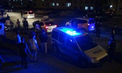 Çayeli'ndeki kutlamalarda 10 kişi gözaltına alındı