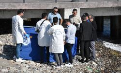 Ordu'da denizde erkek cesedi bulundu