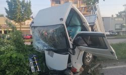 Samsun'da kamyonetin refüjdeki ağaca çarpması sonucu 2 kişi yaralandı