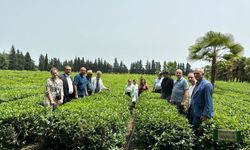 RTEÜ Azerbaycan'da tarım alanlarını inceledi