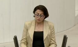 HDP'li vekilden skandal konuşma: Doğuya kürdistan dedi, maden sahalarını karaladı...