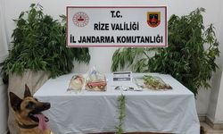 Rize’de Jandarma arama ve yol kontrolü faaliyetleri
