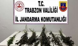 Trabzon'daki uyuşturucu operasyonunda 2 şüpheli gözaltına alındı