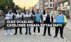 Ülkü Ocakları Çayeli'nde esnafa siftah yaptı