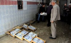 Balıkçı kooperatiflerinde alım satışta durgunluk yaşanıyor