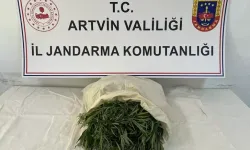 Artvin'de uyuşturucu operasyonunda 2 zanlı gözaltına alındı