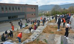 Bolu'da orman yangınında zarar gören alana 5 bin fidan dikildi