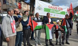 Mengen'de Filistin'e destek yürüyüşü düzenlendi