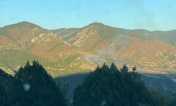 Sinop'ta yangında 1 hektar ormanlık alan zarar gördü