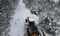 Kastamonu'da kar nedeniyle kapanan köy yolları açıldı